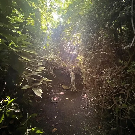 Domaine De La Boissiere - Normandie 아파트 *