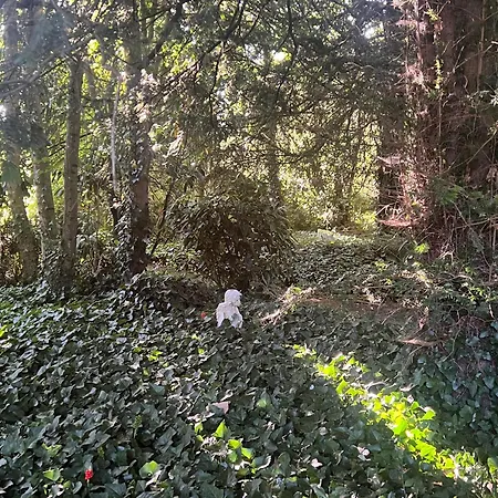 Domaine De La Boissiere - Normandie * Le Manoir (Calvados)