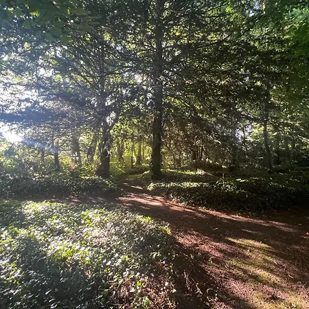 Domaine De La Boissière - Normandie Appartamento Le Manoir (Calvados)