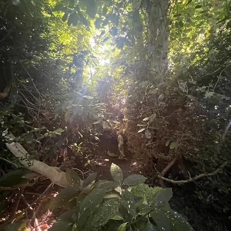 아파트 Domaine De La Boissiere - Normandie Le Manoir (Calvados)