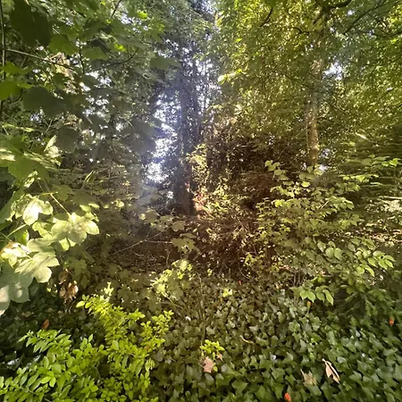 Domaine De La Boissiere - Normandie