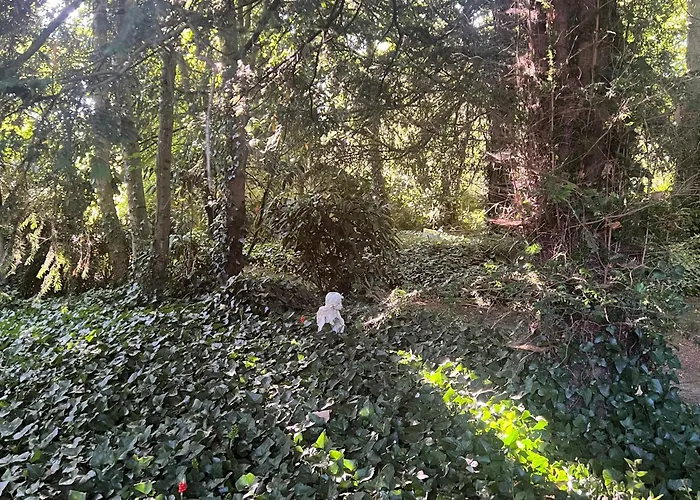 Domaine De La Boissiere - Normandie * Le Manoir (Calvados)