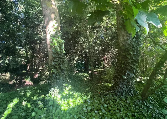 Domaine De La Boissiere - Normandie Apartman Le Manoir (Calvados)