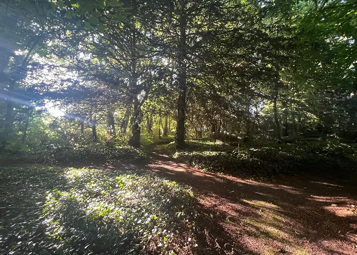 Domaine De La Boissiere - Normandie Apartmán Le Manoir (Calvados)