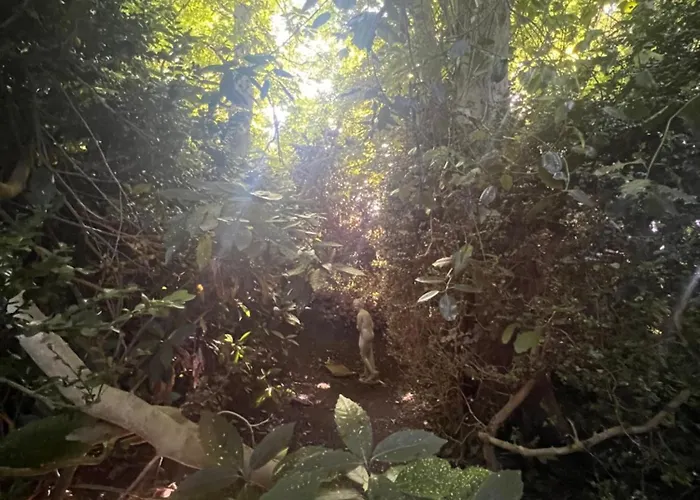 Apartman Domaine De La Boissiere - Normandie Le Manoir (Calvados)